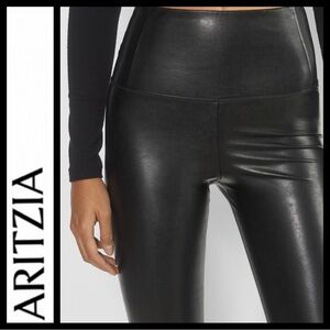 NWOT Aritzia Wilfred Free Daria Pant